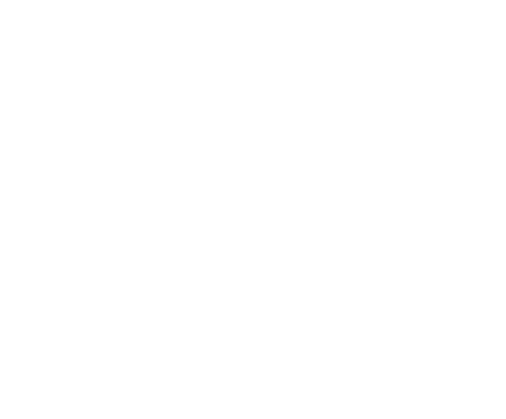 Lone Star Logo 22 White Gisborne