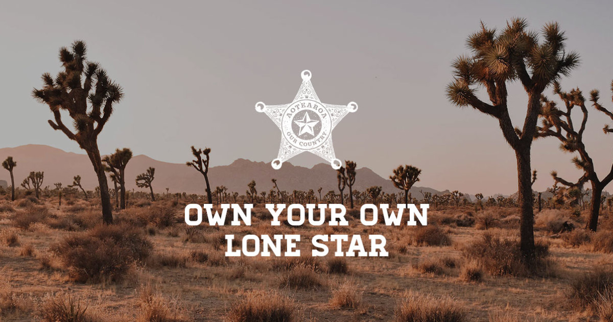 Process Buy a Lone Star Franchise